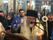 IMG4478