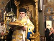 IMG4881