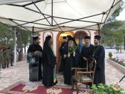 IMG4147