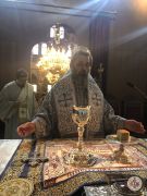 IMG4782