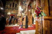 agios-dimitrios-vironas-3255611911338o