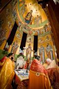 nea-elbetia-ag-dimitrios-16955612021497o