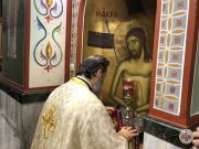 IMG4878