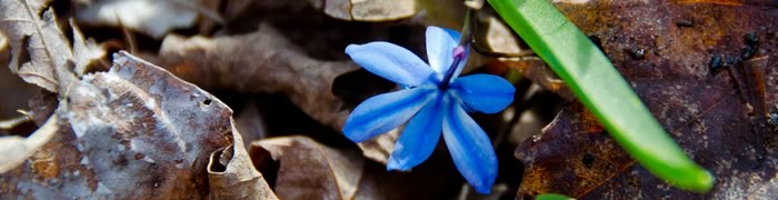 TEST PHOTO